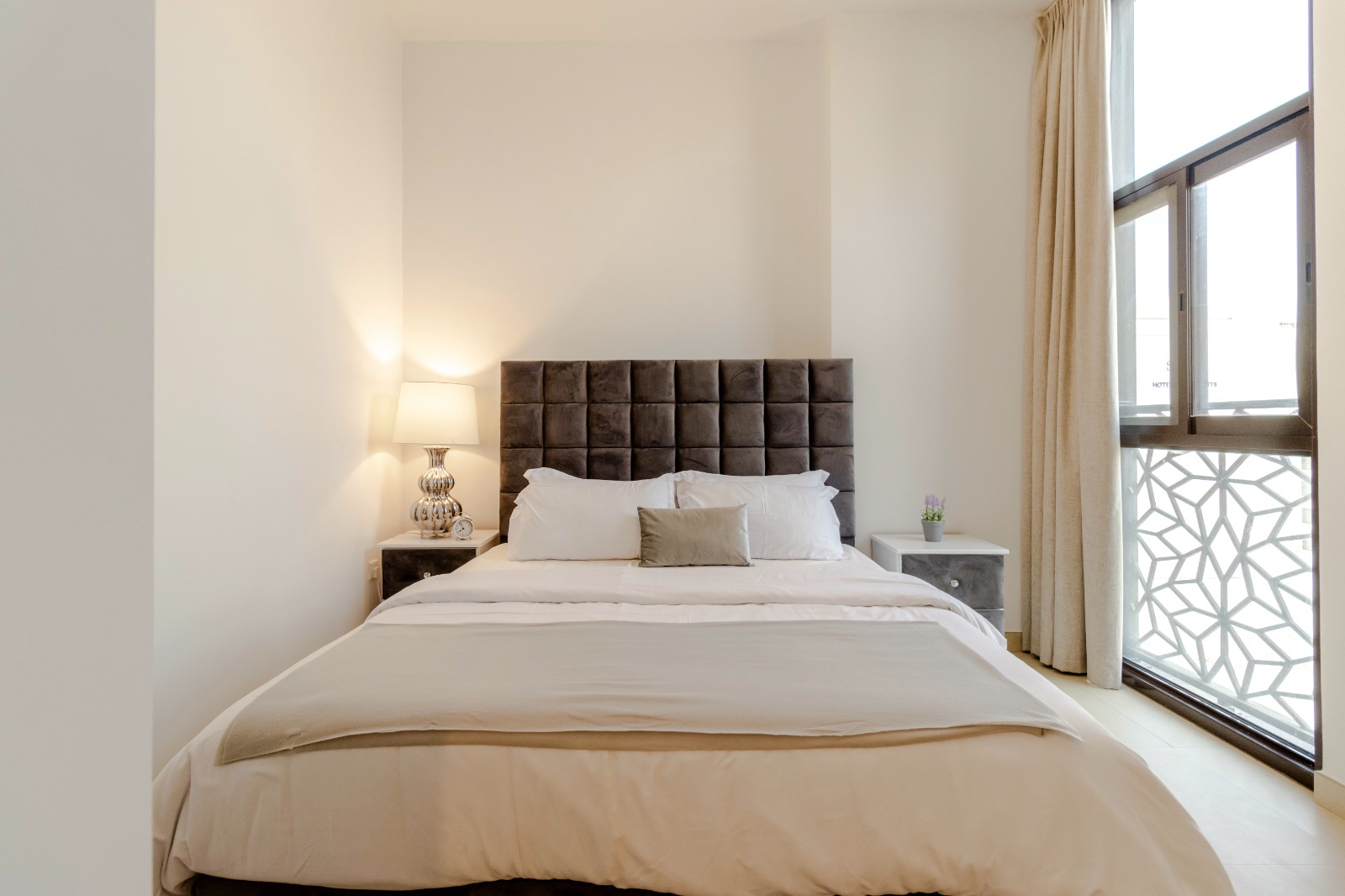 WhatsApp Image 2026-02-08 at 11.56.35 PM